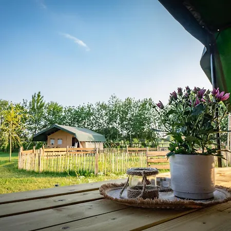 Glamping Hoeve Klein Haneveld Luksustelt Sint-Oedenrode