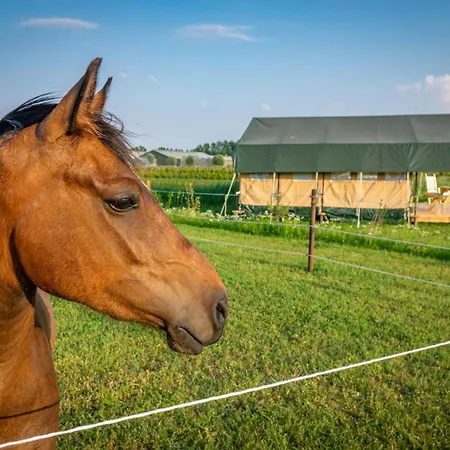 Glamping Hoeve Klein Haneveld * Sint-Oedenrode