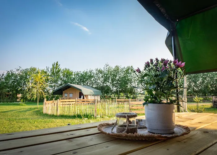 Glamping Hoeve Klein Haneveld Glamping Sint-Oedenrode