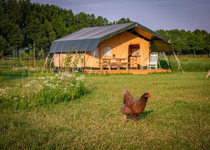 Glamping Hoeve Klein Haneveld خيمة فخمة *